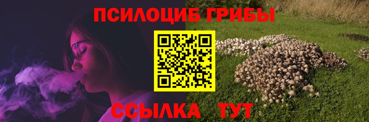 Галлюциногенные грибы мицелий  Вход с VPN  Шали 